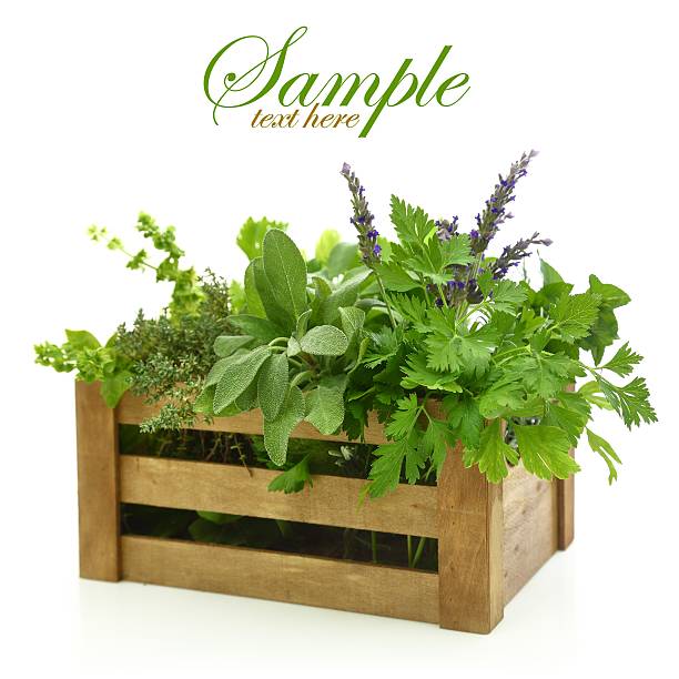 istock Fresh herbs in wooden box 508610157