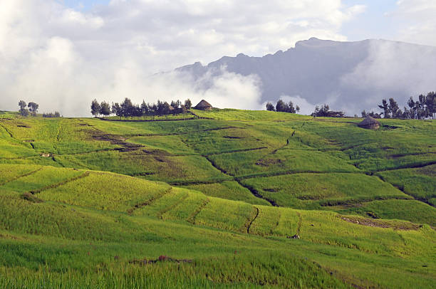 Simien mountain park stock photo