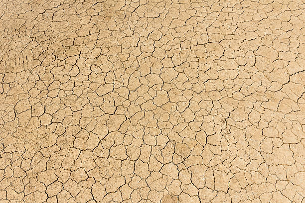 istock Dry land. Cracked ground background. 508618982