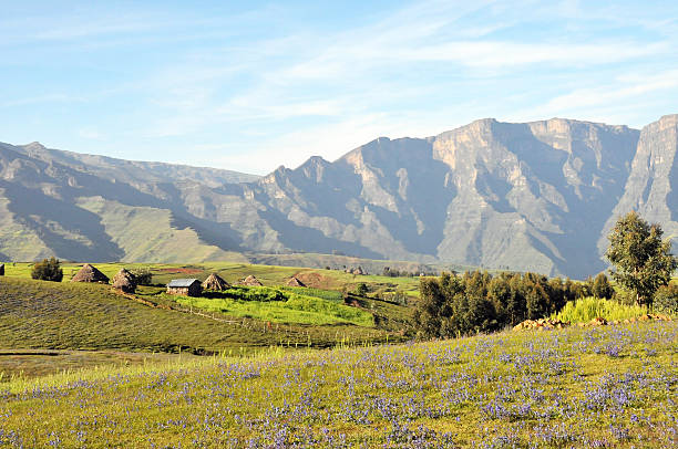 Simien mountains park stock photo