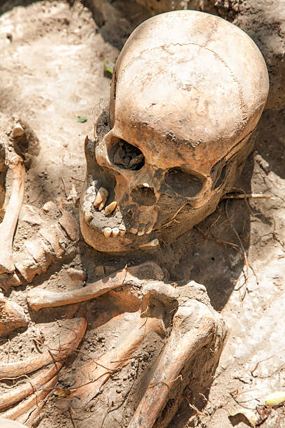 istock Dug up the skull 508619696