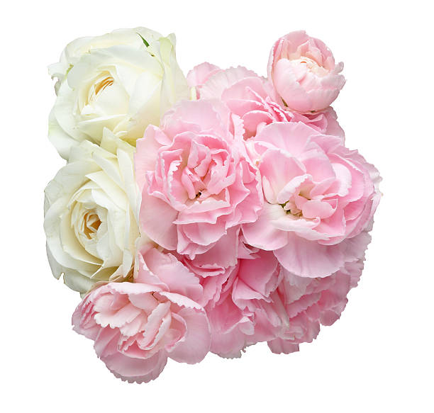 istock Bouquet of carnation and rose 508620088