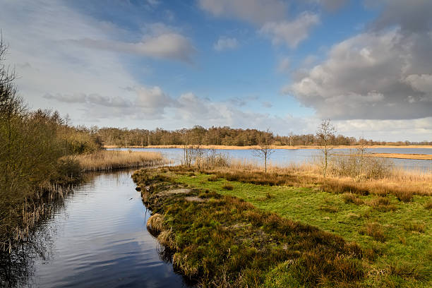 parque nacional de wieden weerribben - wieden weerribben fotografías e imágenes de stock