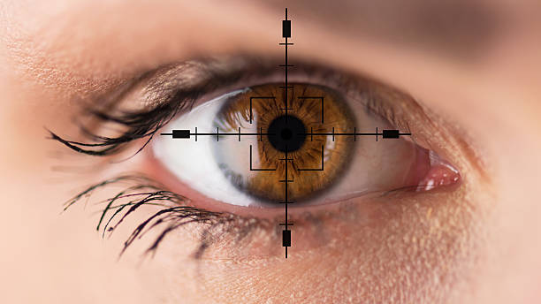 occhi marroni-oftalmologia prova - retina animale foto e immagini stock