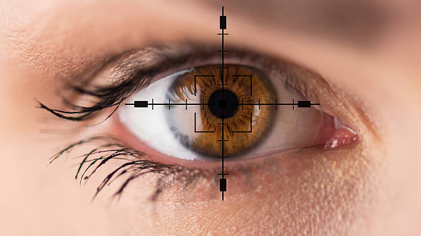 brown eyes - eyesight test - dieren netvlies stockfoto's en -beelden