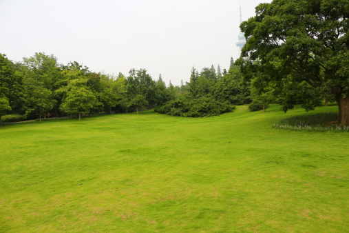 green park in city taken in 2014
