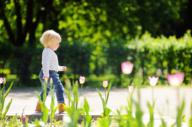 istock Toddler boy walking in the park 508626044