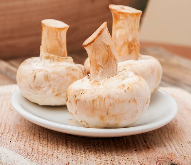 istock mushrooms on wooden background 508626149