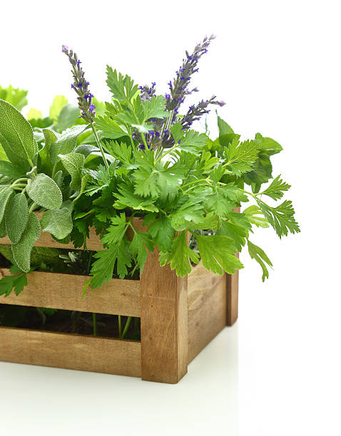 istock Fresh herbs in wooden box 508626495