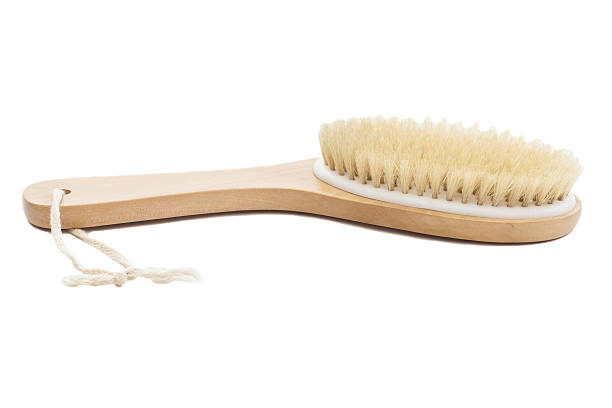 istock wooden body brush 508627225