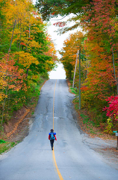 istock Nordic Walking in Autumn mountains 508628200