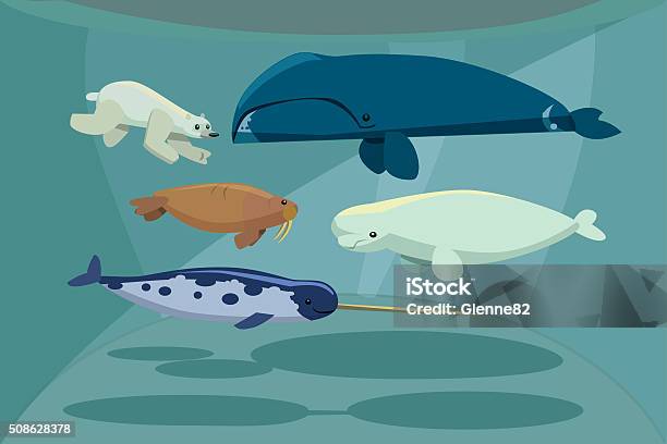 Arctic Mammals Stock Illustration - Download Image Now - Animal, Illustration, Narwhal