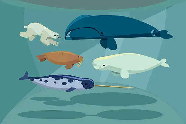 Vector illustration of Arctic Mammals