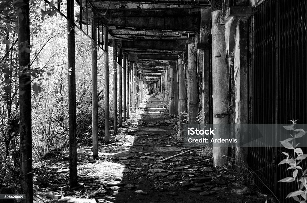 Consonno, città fantasma a lunga esposizione a raggi infrarossi - Foto stock royalty-free di Bianco e nero