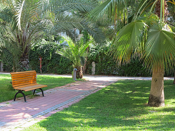istock Tropical green park with palms and bench 508629679
