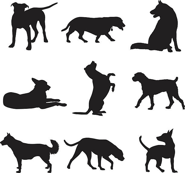 Dog Silhouettes Set Vector silhouettes of nine different dogs in different poses. dog sitting icon stock illustrations