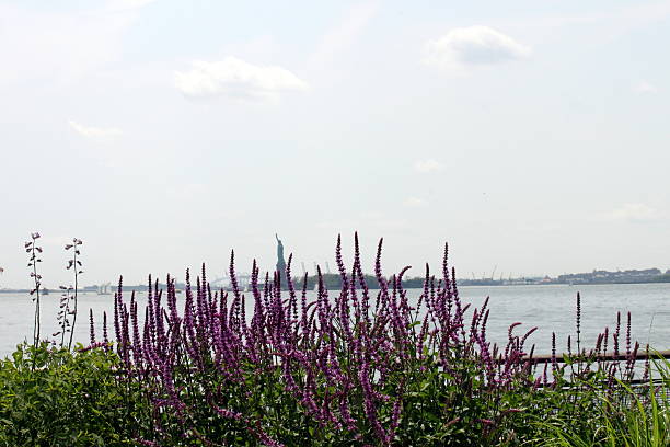 istock New York CIty 508630612