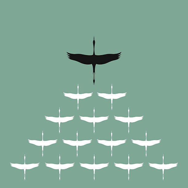 stockillustraties, clipart, cartoons en iconen met flock of stork flying in the sky, - gans vogel