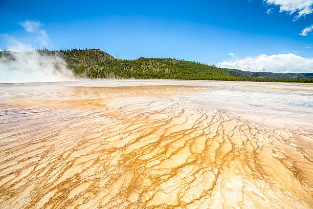 istock Yellowstone National Park 508631013