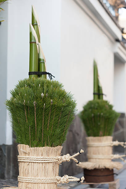 istock New Year decorations in Tokyo 508631367
