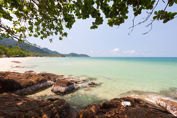 istock Tropical beach in sunny day. 508631416