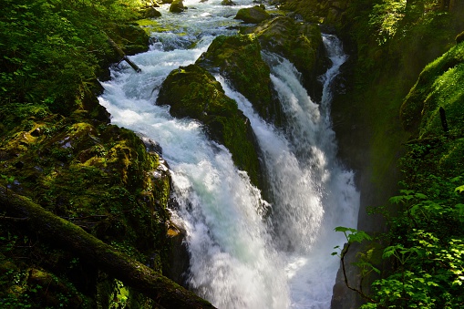 Northwest Washington's Olympic Peninsula.