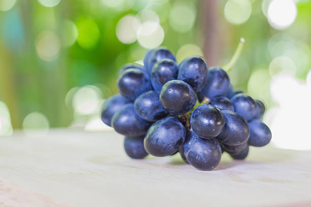 Bunch of grapes and its vines in a garden of Haute-Saône.