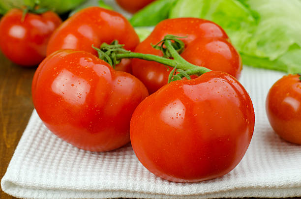 Tomatoes stock photo