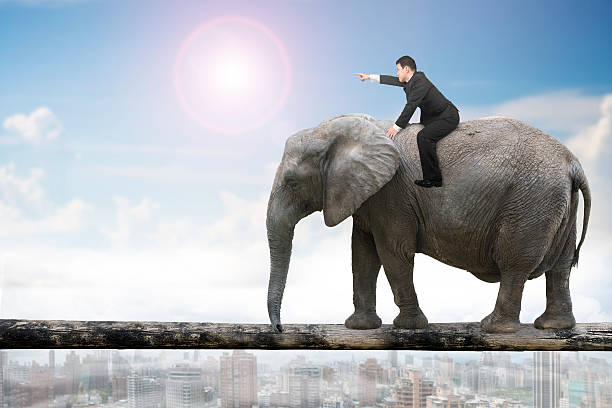 istock Man with pointing finger riding elephant walking on tree trunk 508635264