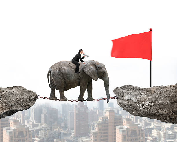 istock Businessman with using speaker riding elephant toward red flag 508635402