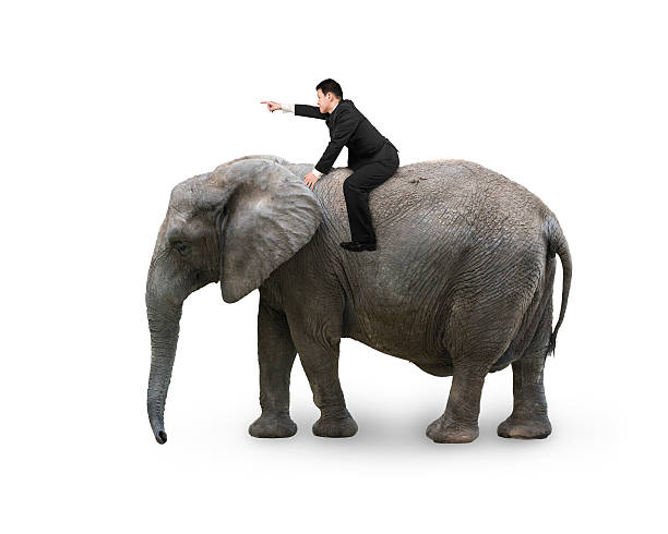 istock Man with pointing finger gesture riding on walking elephant 508635422