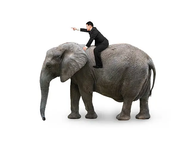 Photo of Man with pointing finger gesture riding on walking elephant