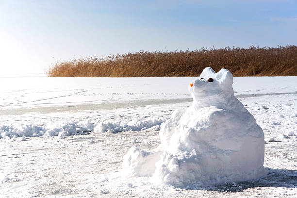 istock Snow bear sculpture on Lake Balaton, Hungary 508635778