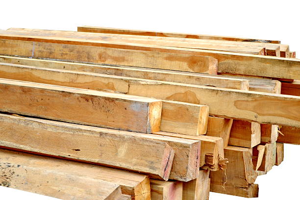 istock Piles of Wood 508636412