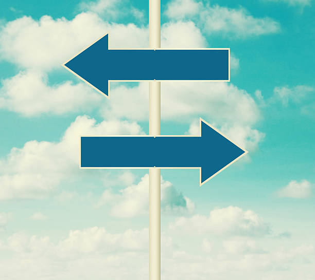 istock Blank road signs pointing in opposite directions 508650383