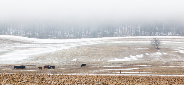 Pennsylvania: rural view of the farm's fields in mountains, Poconos, Pennsylvania, USA
