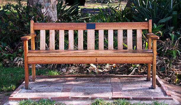 istock Wooden Park Bench in Shaded Garden Setting 508650965