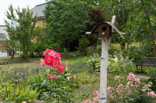 Flower garden with a small bird house