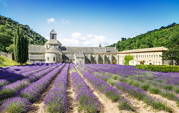 istock Abbey of Senanque 508651605