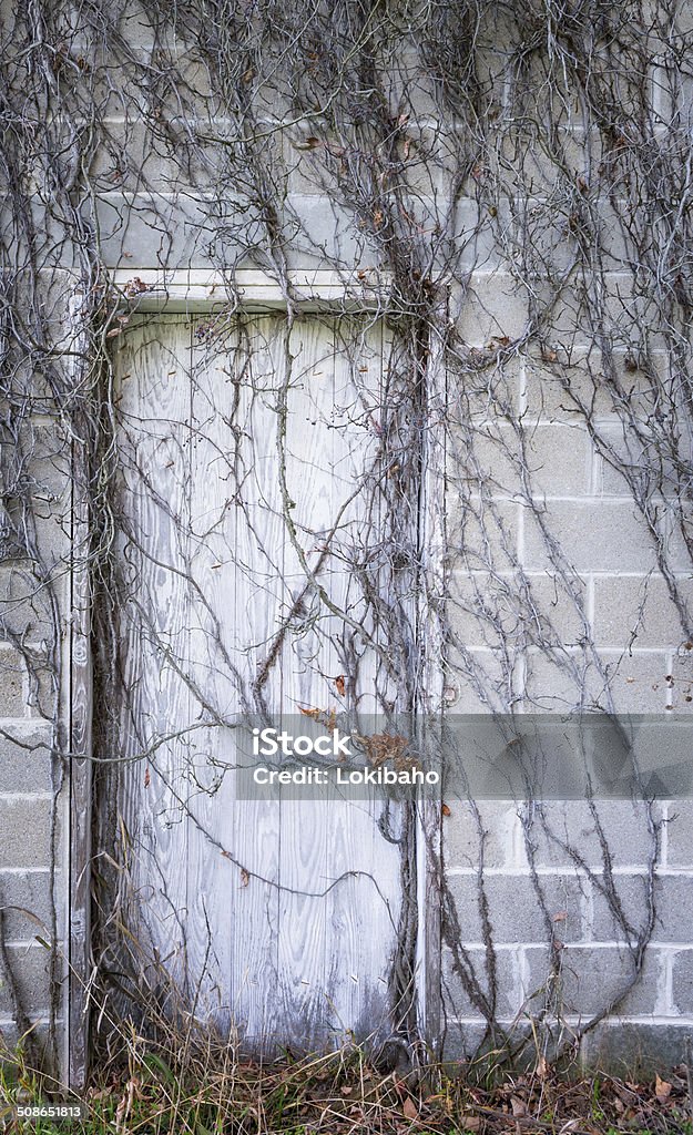 White door Überwachsen mit dead vines - Lizenzfrei Abgestorbene Pflanze Stock-Foto
