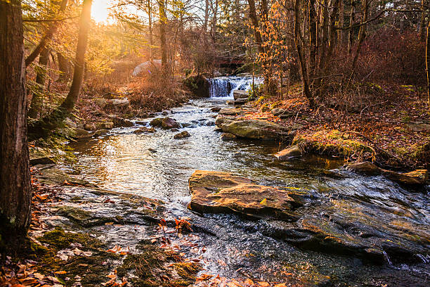 River in the forest in the Poconos, Pennsylvania Fall in the forest. Litthe creek in the  Poconos region, Pennsylvania, USA. Long exposure landscape stream autumn forest stock pictures, royalty-free photos & images