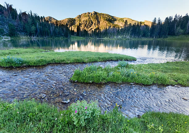 istock Alpine Mountain and Lake 508653411