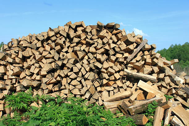 istock lot of firewood 508653635