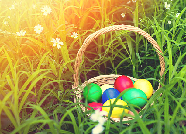 istock Basket of easter eggs on meadow in green spring grass 508657588