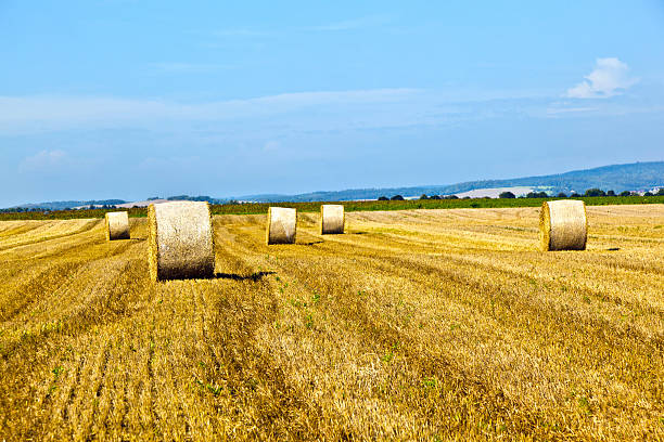 istock bale of straw on field 508660118