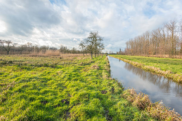 istock Rural landscape in autumnal colors 508661472
