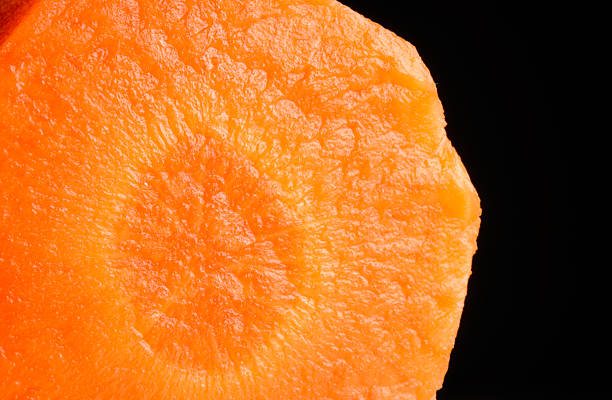 carrot