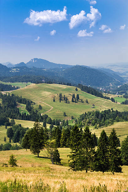 istock Summer in Pieniny Mountains 508663582