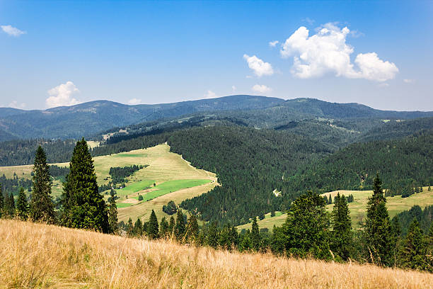 istock Summer in Pieniny Mountains 508663810