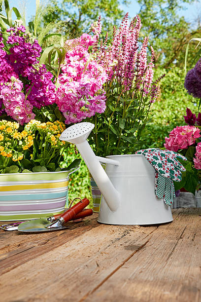 istock Outdoor gardening tools on old wood table 508664086